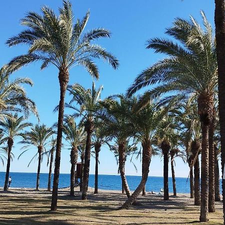 San Antonio - Beach, Pool And Terrace 托雷莫利诺斯 外观 照片